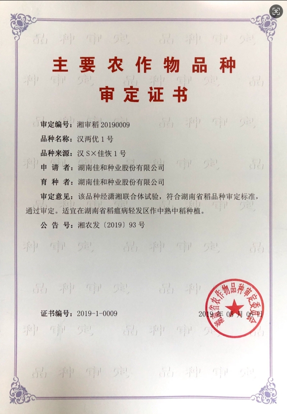 中熟中稻——漢兩優1號