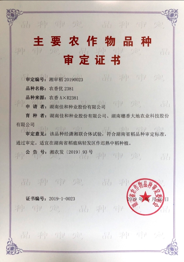 遲熟中稻——農香優2381